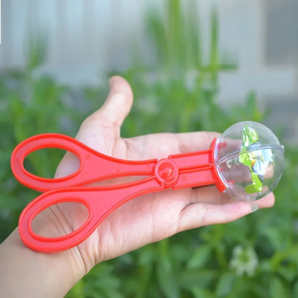 Renkli Büyük Boncuklu Böcek Ya - Outdoor Adventure Kids incelemesi ve fiyatı
